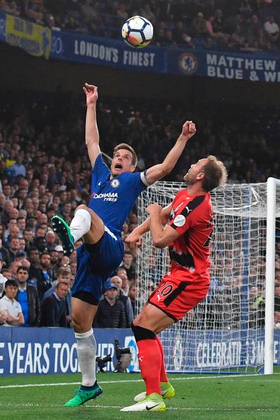 节的高涨 节的高涨