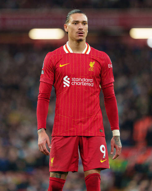 依靠稳固的 依靠稳固的