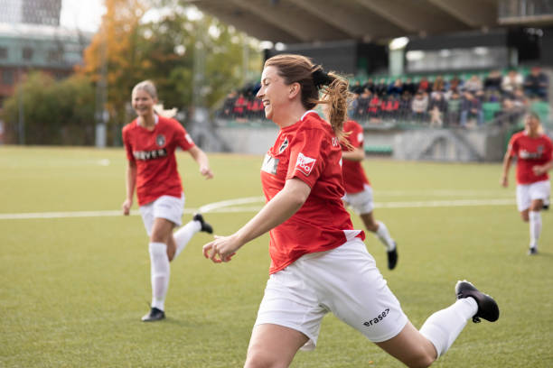 的背景下 的背景下